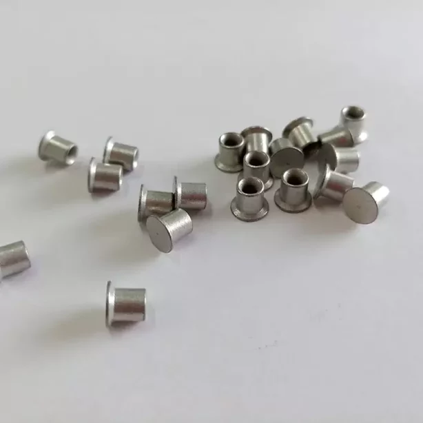 Mechanical Riveting: Different types of rivet