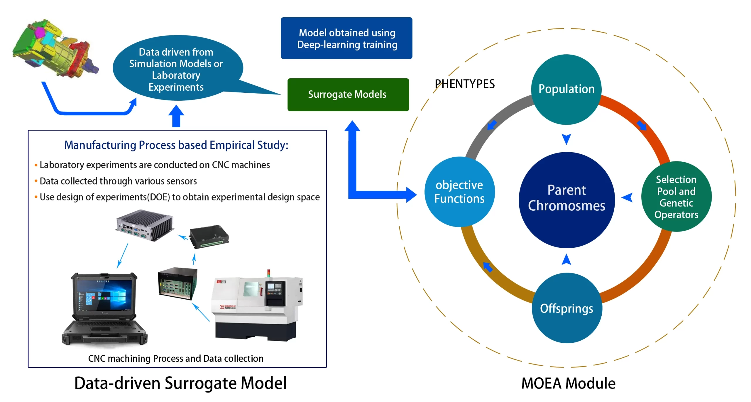 作物の効率を高め、水の消費量を削減する戦略 - 最適な時期の灌漑スケジュール
